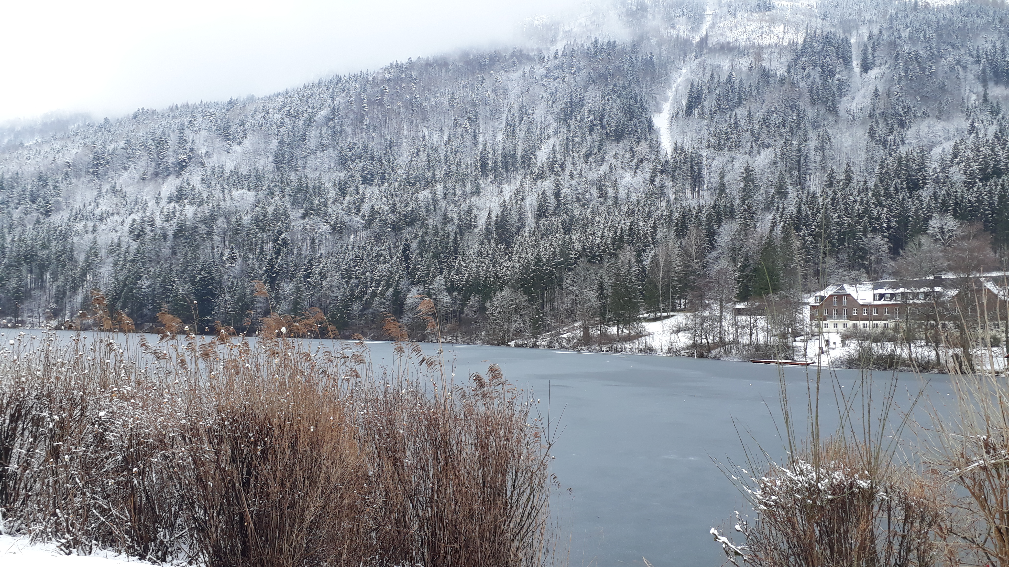 Dieses Bild hat ein leeres alt-Attribut; sein Dateiname ist 2020-05-lunzer-see.jpg.