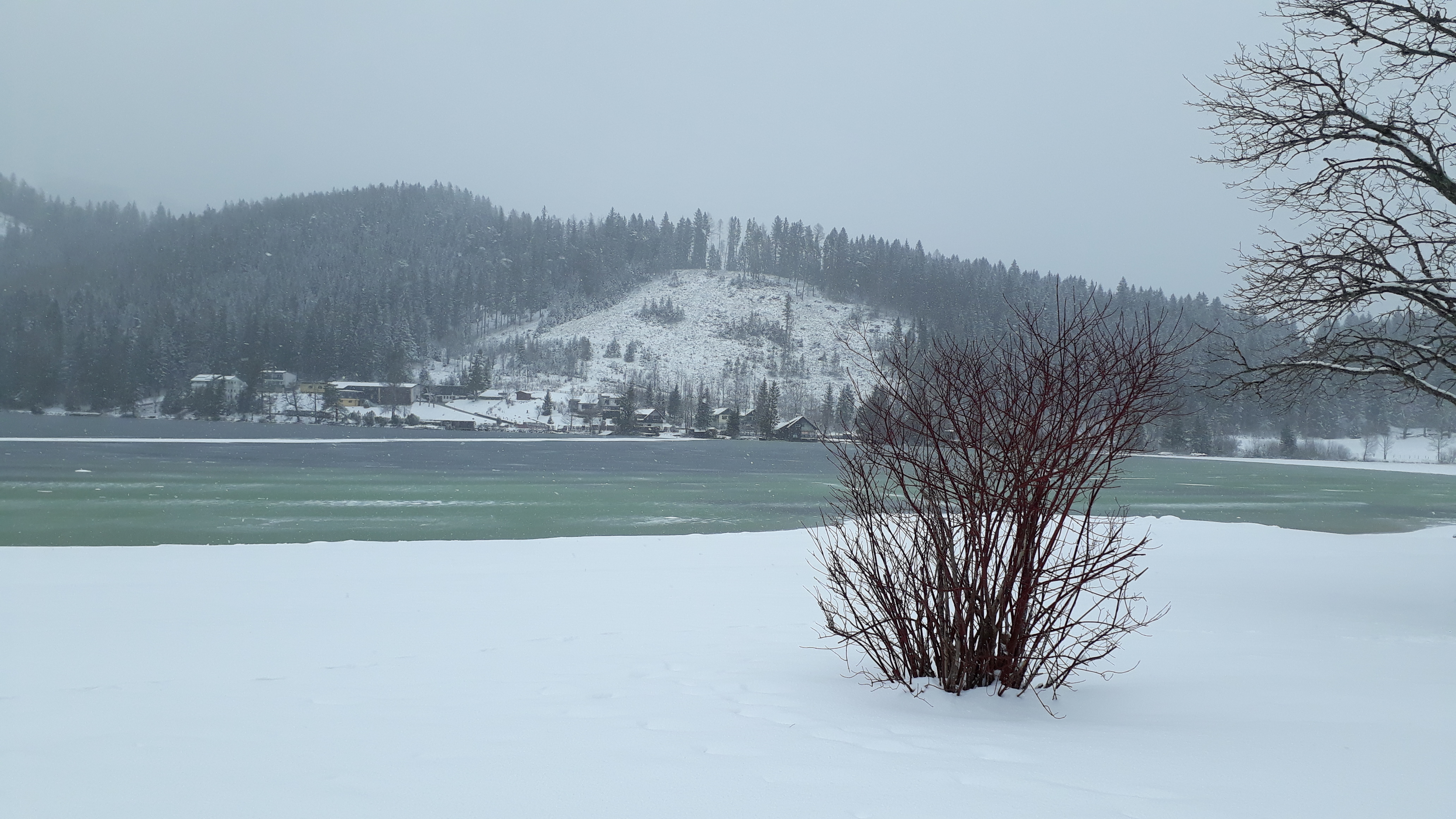 Dieses Bild hat ein leeres alt-Attribut; sein Dateiname ist 2020-06-erlaufsee.jpg.
