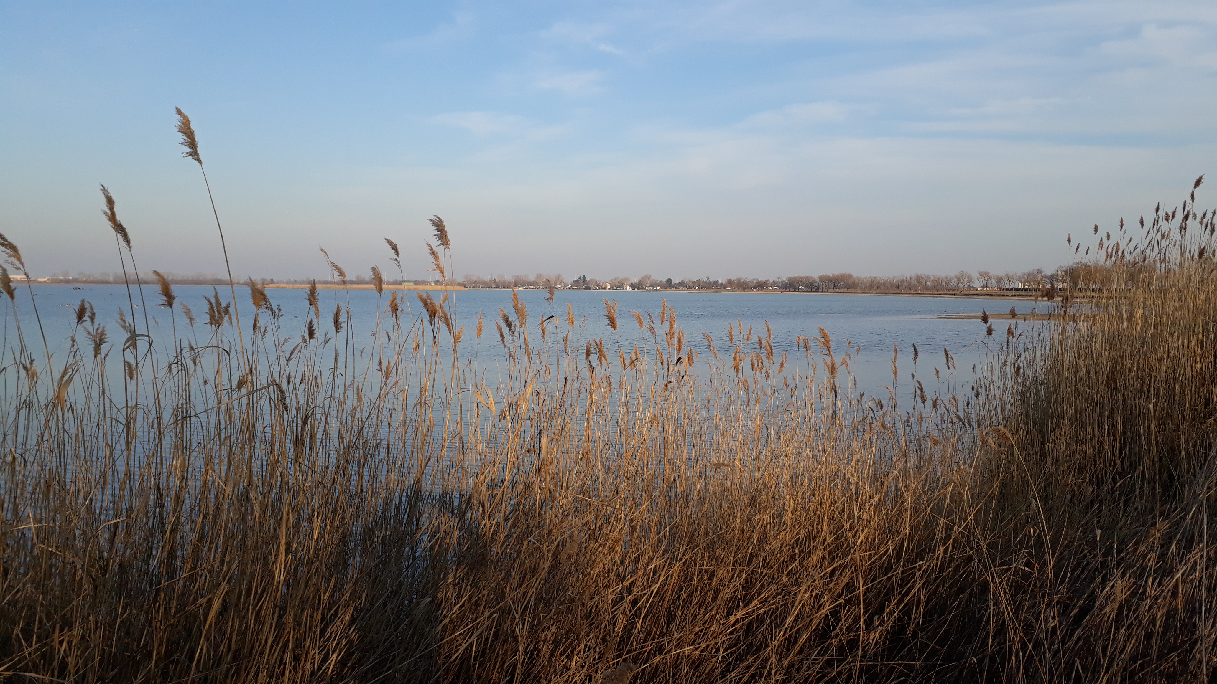 Dieses Bild hat ein leeres alt-Attribut; sein Dateiname ist 2020-16-st.-andraeer-zicksee.jpg.